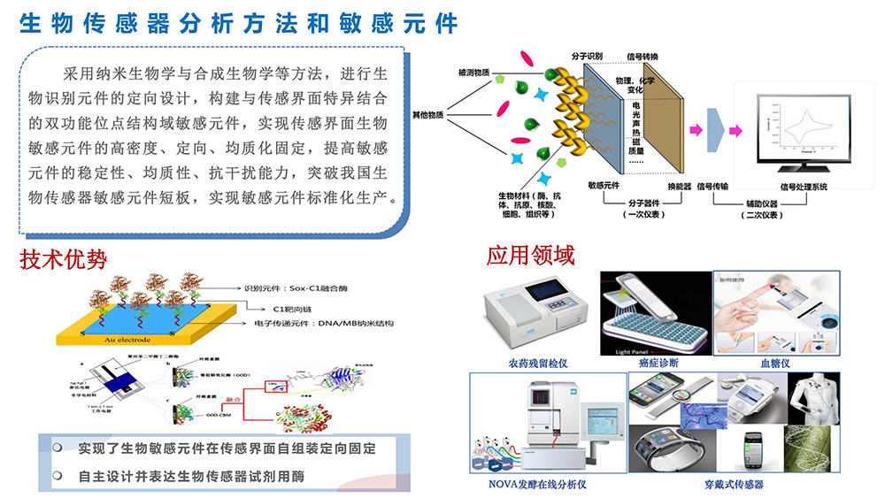 加拿大28计划