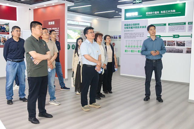 加拿大28计划