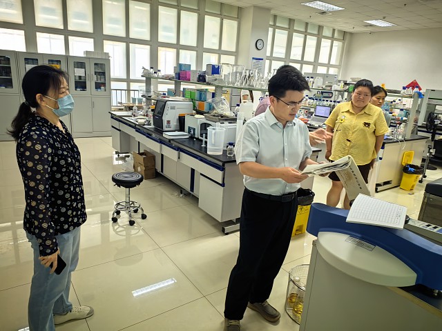 加拿大28计划